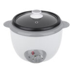 قیمت و خرید پلوپز پارس خزر مدل RC-101TSP